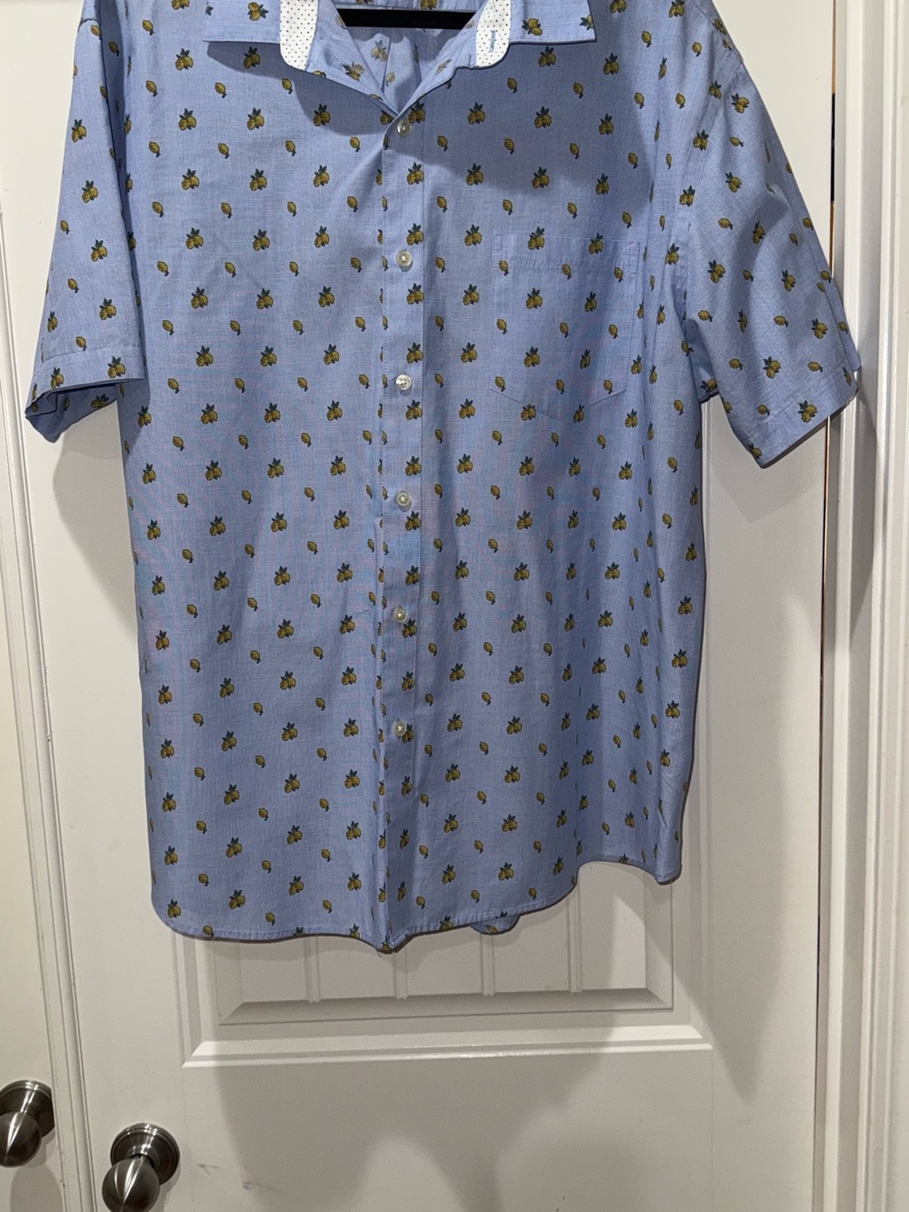 Van Heusen Light Blue Short-Sleeve Button-Down with Pineapple Print, Size XXL